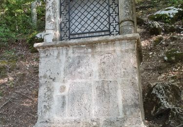 Tocht Stappen Plan-d'Aups-Sainte-Baume - Grotte de Sainte Madeleine - Sainte Baume  - Photo