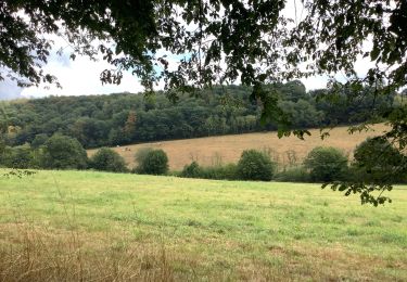 Randonnée Marche Assesse - Sorinne la longue  6,5 km - Photo