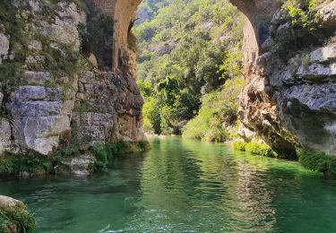 Tocht Trail Saint-Vallier-de-Thiey - descente Siagne - Photo