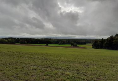 Trail Walking Les Nans - la Roche des Nans - Photo