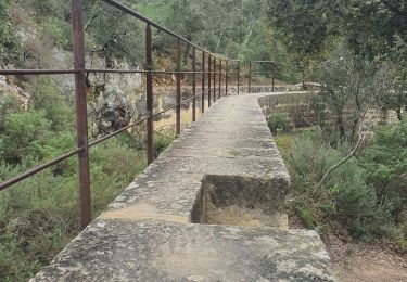 Tocht Stappen Peyrolles-en-Provence - 2025-02-25 Ancien Canal du Verdon Camp Chinois - Photo