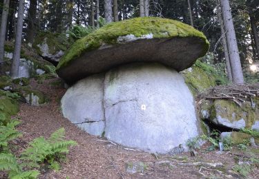 Trail On foot Bad Leonfelden - Rading-Weigetschlag-Ablege-Sternstein 11 - Photo