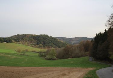 Tocht Te voet Siegbach - Wanderweg E14 / Wilhelmsteine - Photo