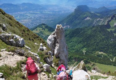 Tocht Stappen Saint-Pierre-de-Chartreuse - tour de la dent de crolles par pravouta  - Photo