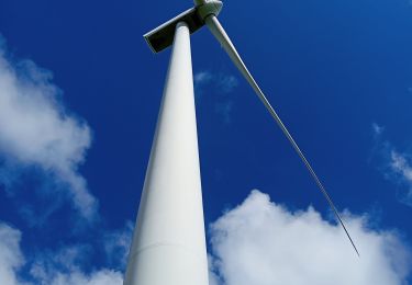 Tour Wandern Sainte-Rose - éolienne st rose - Photo