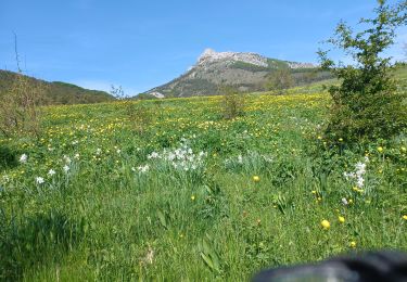 Trail Walking Ventavon - VENTAVON  lac de Peysier n - Photo