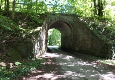 Trail Walking Momignies - Seloignes 110621 - Photo