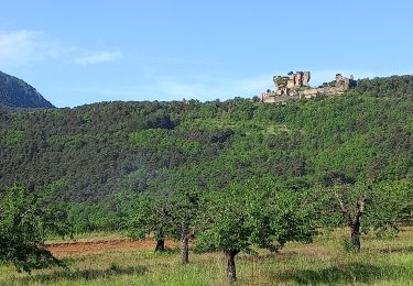 Excursión Senderismo Mostuéjouls - J7: Mostuéjouls-Millau-150522 - Photo