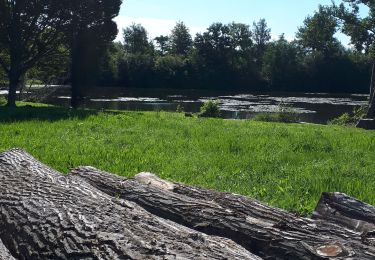 Randonnée Marche Long - Une randonnée rythmée par les étangs. - Photo