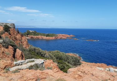 Randonnée Marche Saint-Raphaël - Cap Roux  - Photo