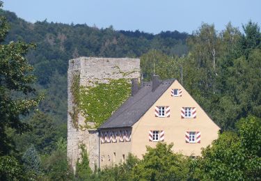 Trail On foot Gräfenberg - Rundweg über Kasberg und Rangen - Photo