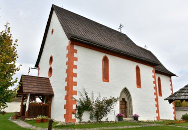 Excursión A pie okres Banská Bystrica - SK-5696M - Photo