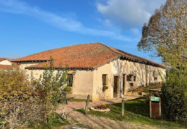 Excursión Senderismo Saint-Hilaire-sous-Charlieu - St-Hilaire-sous-Charlieu : grand couvert - Photo