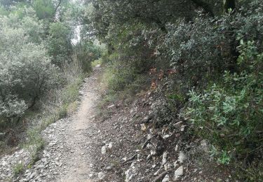 Tocht Stappen La Roque-Alric - Rochers des Évêques  - Photo