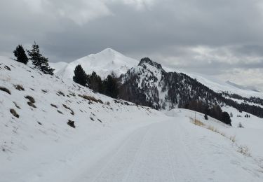 Randonnée Raquettes à neige Vars - vars peinier 360m 7.5kms - Photo