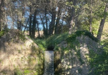 Randonnée Marche Saint-Rémy-de-Provence - Mas Blanc - Photo