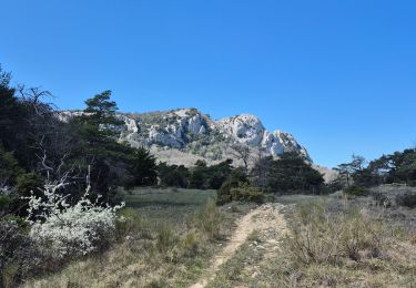 Trail Walking Signes - Circuit à Signes - Photo