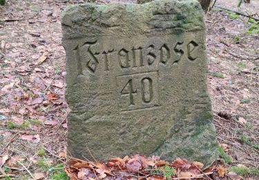 Trail Walking Grandfontaine - les deux donons - Photo