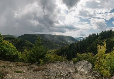 Tocht Te voet Lorch - Wispertalsteig - Photo