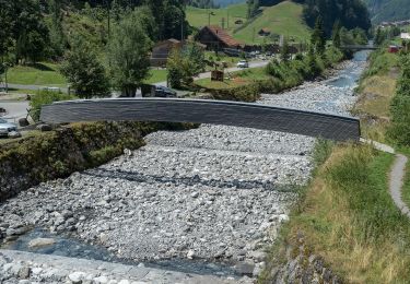 Tocht Te voet Muotathal - Guetentalboden - Stalden (Hölloch) - Photo