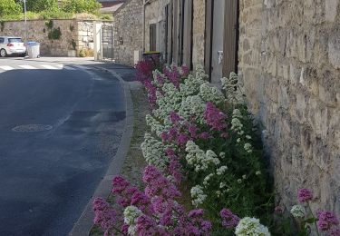Trail Walking Auvers-sur-Oise - Auvers  Herouville - Photo