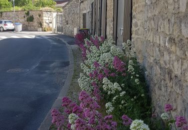 Excursión Senderismo Auvers-sur-Oise - Auvers  Herouville - Photo