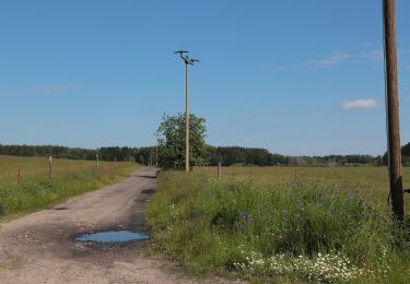 Trail On foot Spreewaldheide - Wanderweg Butzen-Byhlener See - Photo