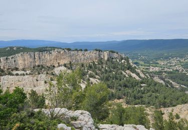 Tocht Stappen Ollioules - Gros Cerveau - Ollioules - Photo