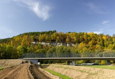 Trail On foot Marktrodach - Zeyern-Runde - Photo