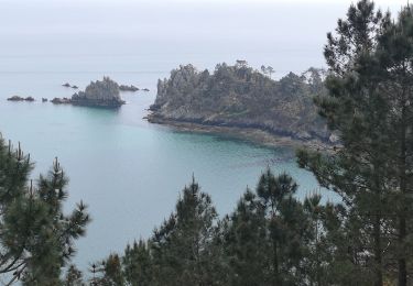 Trail Walking Crozon - L'ile vierge - Photo