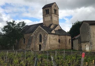 Tocht Stappen Igé - IGÉ (16 km - D. 420 m) - Photo