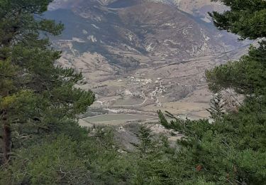 Trail Walking Tartonne - TARTONNE .Sommet de la Sapee , puit sale o - Photo