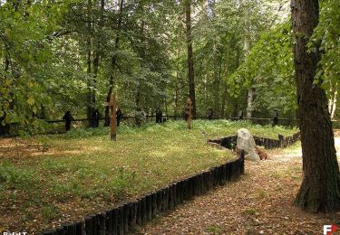 Percorso A piedi Januszno - Dąbrowa nad Zagożdżonką - Photo