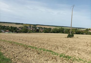 Trail Walking Vauchassis - Randonnée club 10 août 2023 - Photo