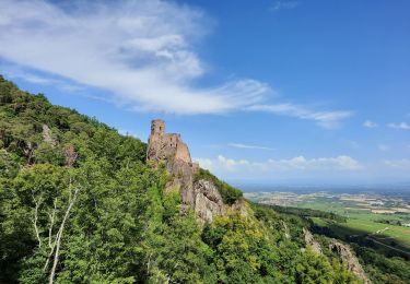 Randonnée Marche Ribeauvillé - châteaux de Ribeauvillé  - Photo