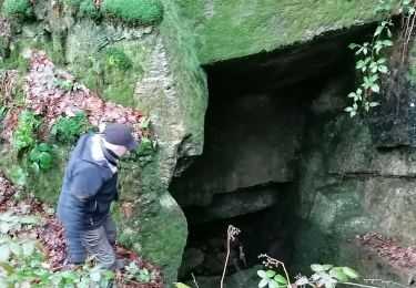Trail Walking Bogny-sur-Meuse - 22 02 2022 phili eric - Photo