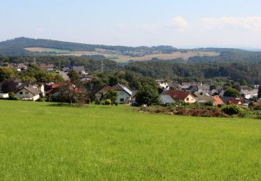 Percorso A piedi Hübingen - Buchfinkenland kleiner Rundwanderweg B3 - Photo