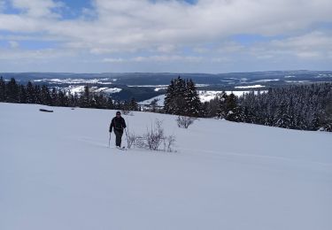 Excursión Esquí de fondo Longevilles-Mont-d'Or - 20-03-21 SRN avec Evasions Nordiques - Photo