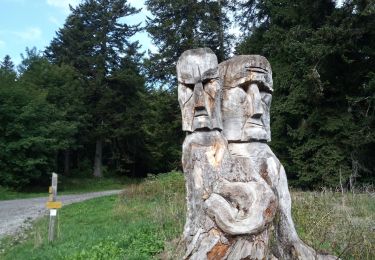 Percorso Marcia Sarcenas - Col de Porte_La Pinea_Oratoire d'Orgeval - Photo
