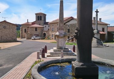 Tocht Stappen Chambon-sur-Dolore - Chambon sur Dolore  - Photo