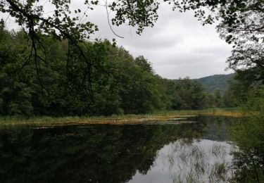 Tour Wandern Mélisey - Melisey Marchettes - Photo