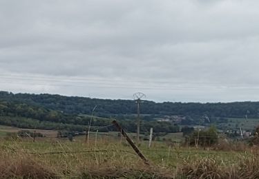 Tour Wandern Ibingen - Rachecourt Baranzy - Photo