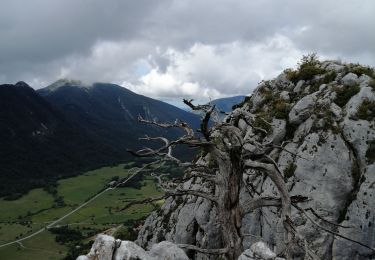 Tocht Stappen Séranon - Crêtes bauroux - Photo