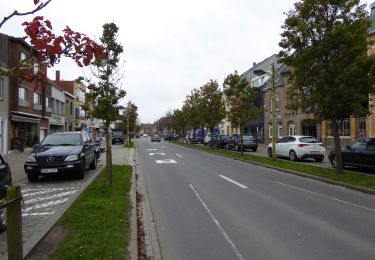 Trail On foot Koksijde - Doornpanne wandelroute - Photo