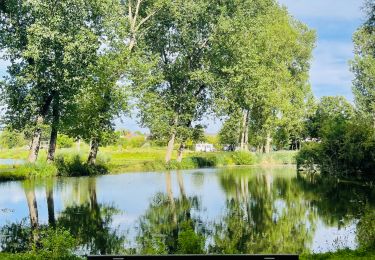Trail Walking Landen - La vallée du ruisseau Mombeek : la réserve naturelle De Beemden à Attenhoven - Photo