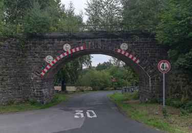 Tocht Te voet  - Baumgarten-Rundweg - Photo