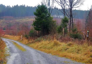 Tour Zu Fuß Neuenrade - Amecker Rundwanderweg - Photo