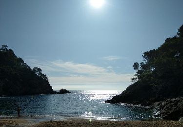 Trail Walking Tossa de Mar - Wikiloc - Cala Pola + Es Escobar - Photo