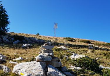 Percorso Marcia Colmars - Le Laupon - Villars Colmars - Photo