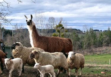 Tour Wandern Olmet - Olmet_Ruisseaux - Photo